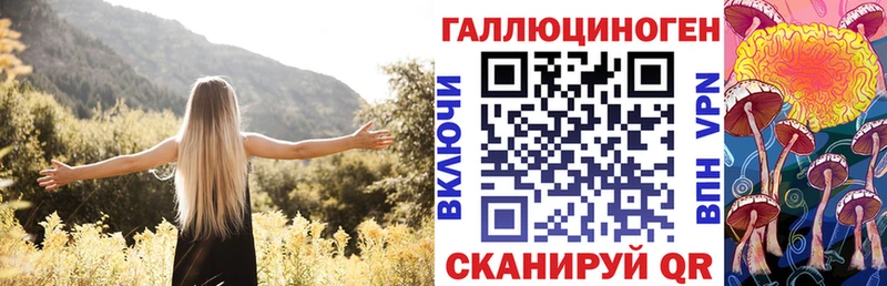 маркетплейс какой сайт  Медногорск  Псилоцибиновые грибы Psilocybine cubensis 