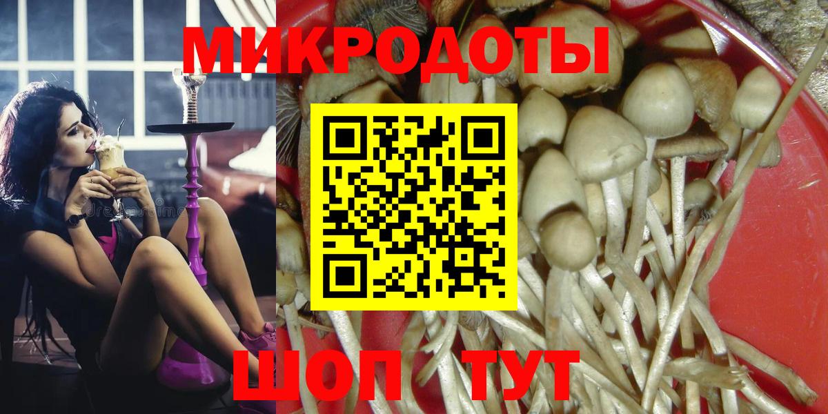Медногорск  закладка  Галлюциногенные грибы Magic Shrooms  Вход с VPN  Галлюциногенные грибы Psilocybe 