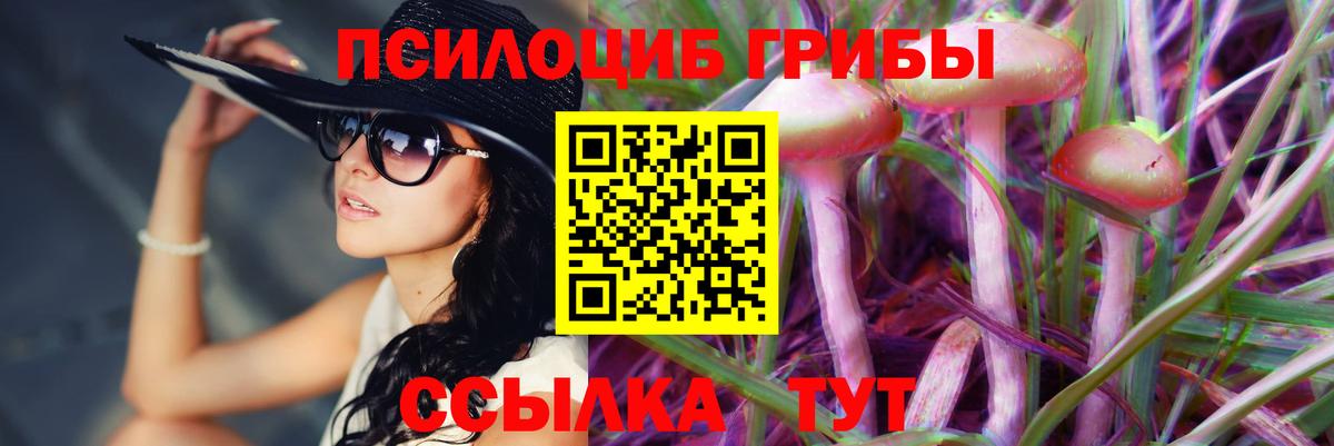Купить закладку  Гашиш  Экстази  МАРИХУАНА  Меф МЯУ МЯУ   Медногорск  КОКАИН  Вход с VPN 